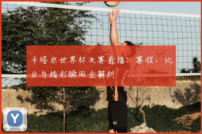 卡塔尔世界杯决赛直播：赛程、比分与精彩瞬间全解析