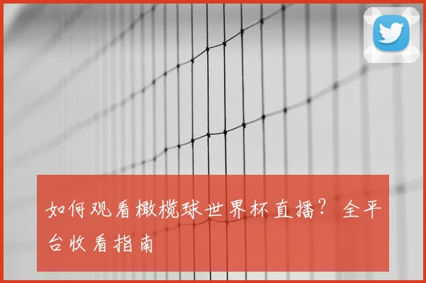 如何观看橄榄球世界杯直播？全平台收看指南